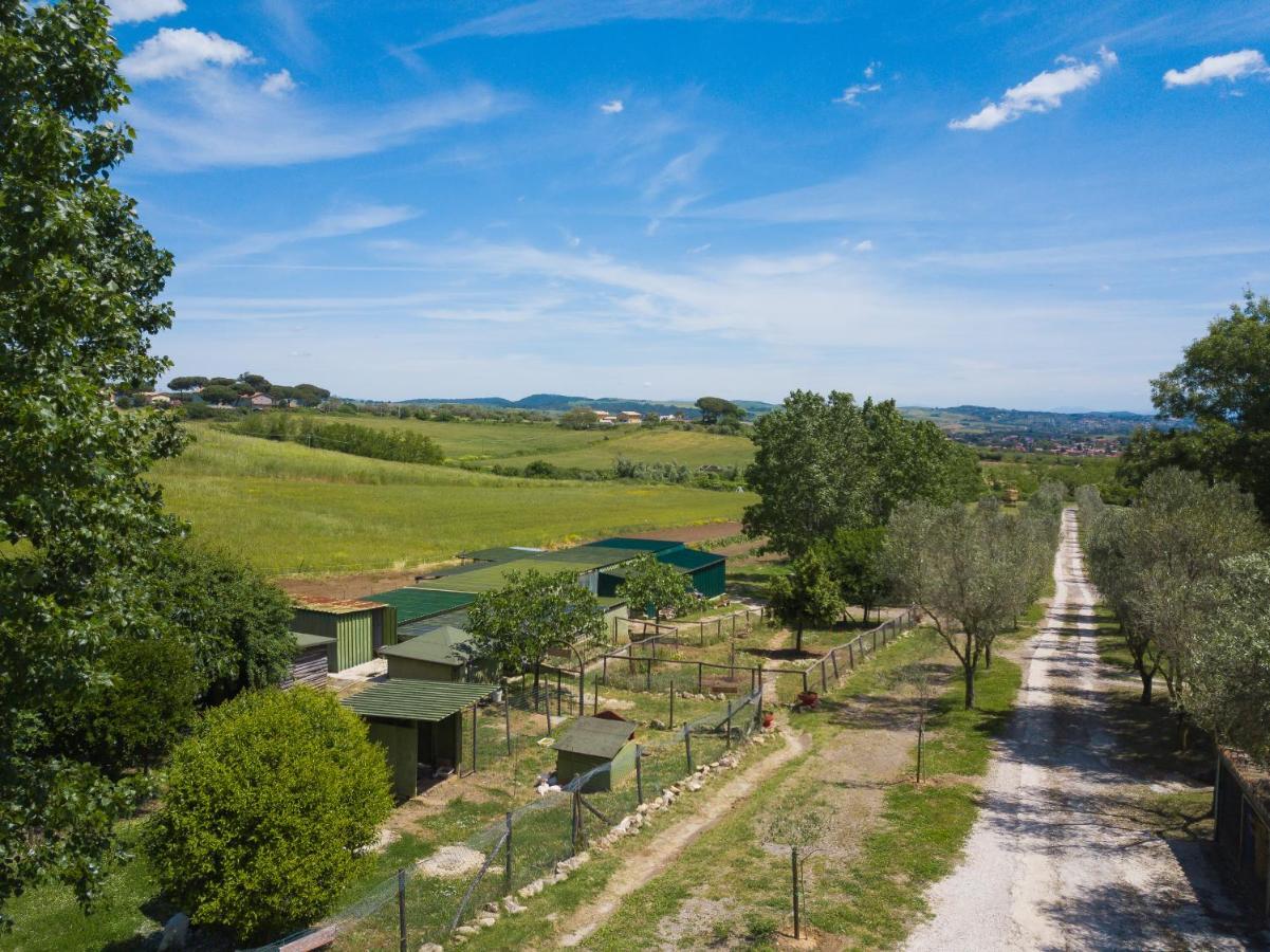 Agriturismo Zugarelli Anguillara Sabazia Buitenkant foto