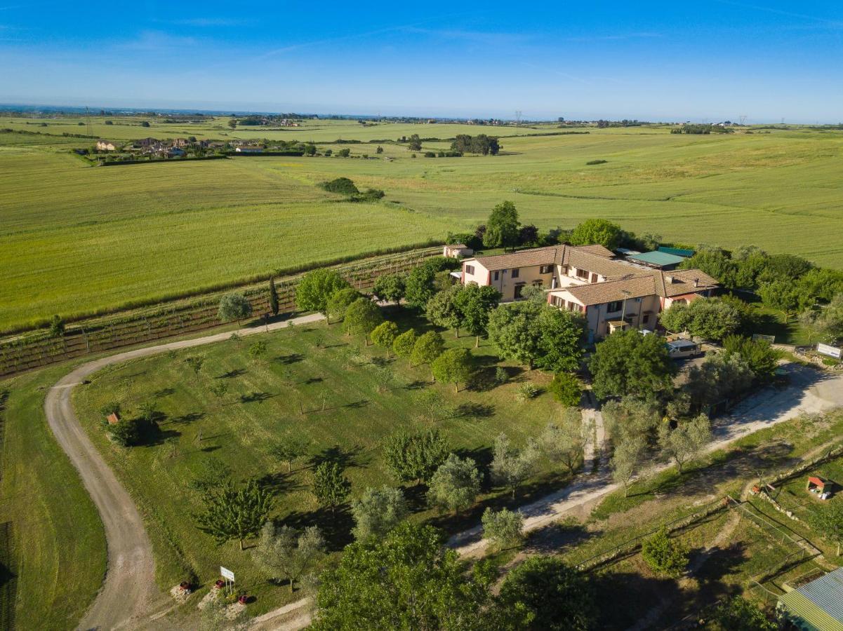 Agriturismo Zugarelli Anguillara Sabazia Buitenkant foto